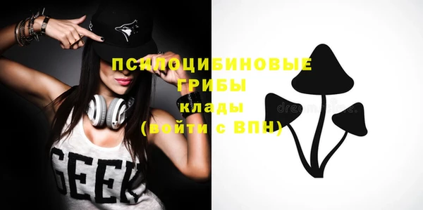 меф Богородицк