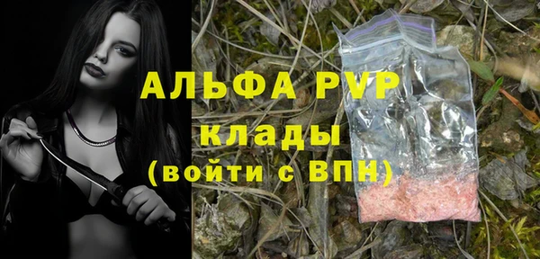 тгк Богданович